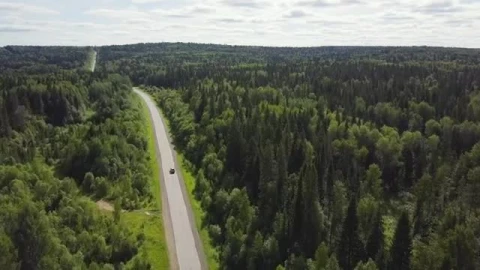 Stock Video Highway Through A Large Forest Smal Animated Wallpaper - Free Live Wallpaper