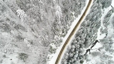 Stock Video Highway Crossing A Winter Forest Animated Wallpaper - Free Live Wallpaper