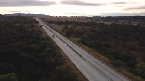 Stock Video Highway Between Trees Animated Wallpaper - Free Live Wallpaper