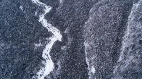 Stock Video High View Of A Frozen Mountainous Forest Animated Wallpaper - Free Live Wallpaper