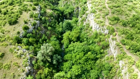 Stock Video Hidden Waterfalls Inside A Canyon Animated Wallpaper - Free Live Wallpaper