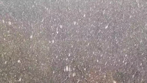 Stock Video Heavy Snow Falling Across The Landscape Animated Wallpaper - Free Live Wallpaper