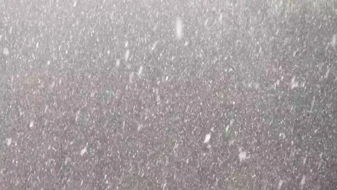 Stock Video Heavy Snow Blocking The View Animated Wallpaper - Free Live Wallpaper