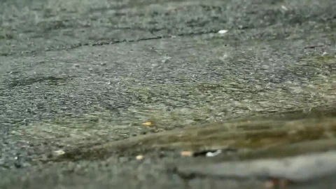Stock Video Heavy Rain On A Road Surface Animated Wallpaper - Free Live Wallpaper