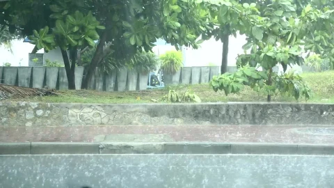 Stock Video Heavy Rain In The Street Sidewalk Animated Wallpaper - Free Live Wallpaper