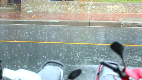 Stock Video Heavy Rain In The Street Animated Wallpaper - Free Live Wallpaper