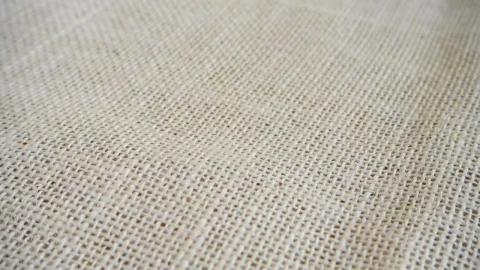 Stock Video Hazelnuts Falling Into The Shot Slow Motion Animated Wallpaper - Free Live Wallpaper