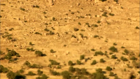Stock Video Haze Across The Desert Animated Wallpaper - Free Live Wallpaper