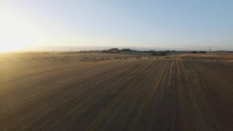 Stock Video Hay Bales Across A Field Animated Wallpaper - Free Live Wallpaper