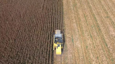 Stock Video Harvesting The Crops With A Machine Animated Wallpaper - Free Live Wallpaper