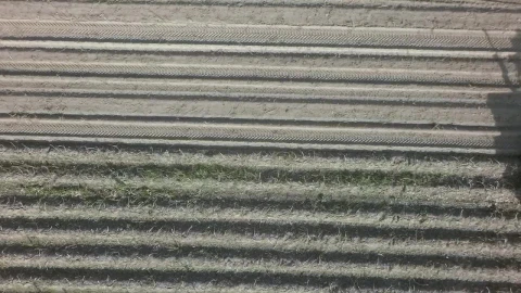 Stock Video Harvesting Potato Crops Animated Wallpaper - Free Live Wallpaper