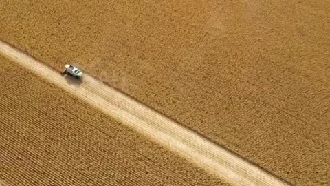 Stock Video Harvesting Large Fields Of Crops Smal Animated Wallpaper - Free Live Wallpaper