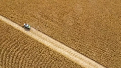Stock Video Harvesting Large Fields Of Crops Animated Wallpaper - Free Live Wallpaper