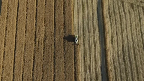 Stock Video Harvesting A Field Animated Wallpaper - Free Live Wallpaper