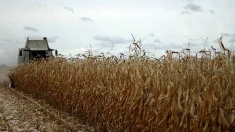 Stock Video Harvester Moving Through A Field Animated Wallpaper - Free Live Wallpaper