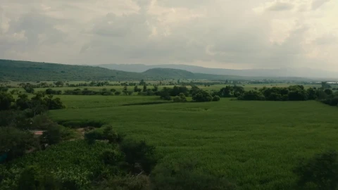 Stock Video Harvest Fields On A Cloudy Day Animated Wallpaper - Free Live Wallpaper