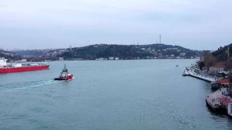 Stock Video Harbour Pilot Boat Following A Cargo Ship Animated Wallpaper - Free Live Wallpaper