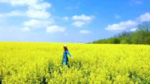 Stock Video Happy Woman Spinning On A Flower Field Animated Wallpaper - Free Live Wallpaper