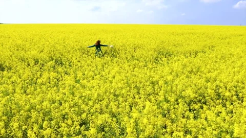 Stock Video Happy Woman On A Rapeseed Field Animated Wallpaper - Free Live Wallpaper