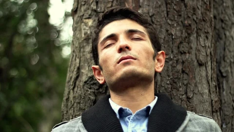 Stock Video Happy Man Relaxing In The Park Animated Wallpaper - Free Live Wallpaper