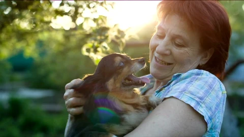 Stock Video Happy Lady Caresses Her Little Dog Animated Wallpaper - Free Live Wallpaper