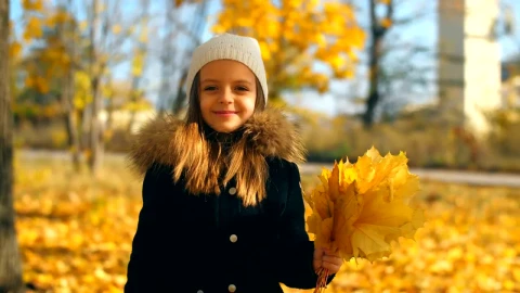 Stock Video Happy Girl With Autumn Leaves In A Park Animated Wallpaper - Free Live Wallpaper