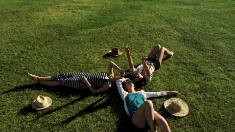 Stock Video Happy Friends Looking To The Sky In The Meadow Animated Wallpaper - Free Live Wallpaper