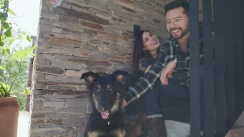 Stock Video Happy Couple Petting Their Dog Animated Wallpaper - Free Live Wallpaper