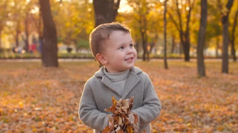 Stock Video Happy Child Playing With Autumnal Leaves Animated Wallpaper - Free Live Wallpaper