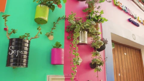 Stock Video Hanging Flowerpots In The Facade Animated Wallpaper - Free Live Wallpaper