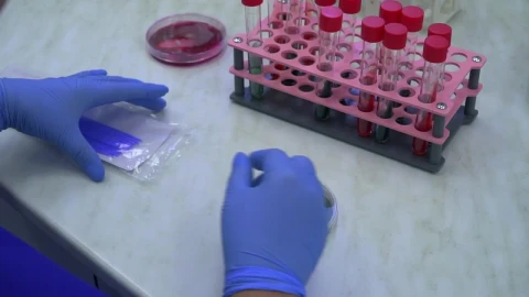 Stock Video Hands Of Person Working In A Laboratory Animated Wallpaper - Free Live Wallpaper