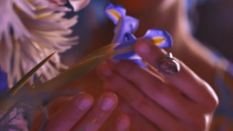 Stock Video Hands Of An Lgbtq Man Playing With A Flower Animated Wallpaper - Free Live Wallpaper