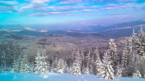 Stock Video Landscape Of The Winter Montain Forest Animated Wallpaper - Free Live Wallpaper