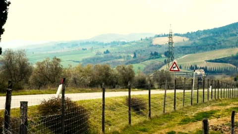 Stock Video Landscape Of The Vineyards In The Tuscany Area Animated Wallpaper - Free Live Wallpaper