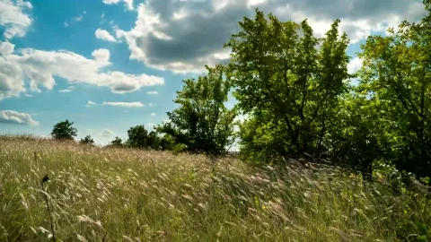 Stock Video Landscape Of The Clouds Moving Above The Hill Animated Wallpaper - Free Live Wallpaper