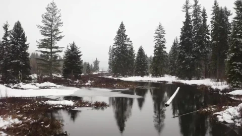 Stock Video Landscape Of A Snowy Forest With A River Animated Wallpaper - Free Live Wallpaper