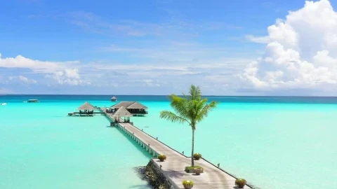 Stock Video Landscape Of A Pier In Clear Waters Of The Sea Animated Wallpaper - Free Live Wallpaper