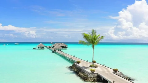 Stock Video Landscape Of A Dock In Clear Waters Animated Wallpaper - Free Live Wallpaper