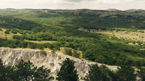 Stock Video Landscape Of A Forest And Rocky Mountains Animated Wallpaper - Free Live Wallpaper