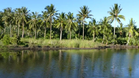 Stock Video Landscape In The Philippines Animated Wallpaper - Free Live Wallpaper