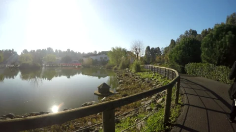 Stock Video Lakeside Walk Animated Wallpaper - Free Live Wallpaper