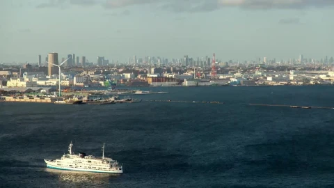 Stock Video Lake With Yachts Near A Big City Animated Wallpaper - Free Live Wallpaper