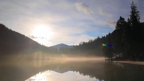 Stock Video Lake With Mist In The Middle Of A Forest With Animated Wallpaper - Free Live Wallpaper