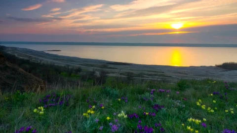 Stock Video Lake View In The Sunset Animated Wallpaper - Free Live Wallpaper