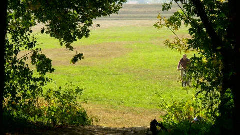 Stock Video Man In His Bicycle Entering The Woods Animated Wallpaper - Free Live Wallpaper