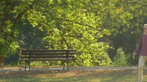 Stock Video Man In Glasses Walking On The Park Animated Wallpaper - Free Live Wallpaper