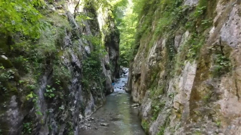 Stock Video Man Hiking In A Canyon With A Stream Animated Wallpaper - Free Live Wallpaper