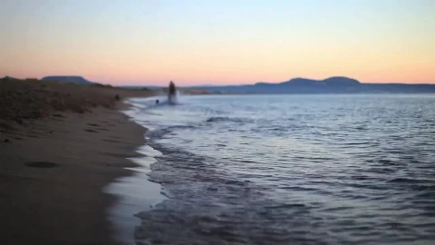 Stock Video Man Galloping On The Beach With Two Dogs Animated Wallpaper - Free Live Wallpaper