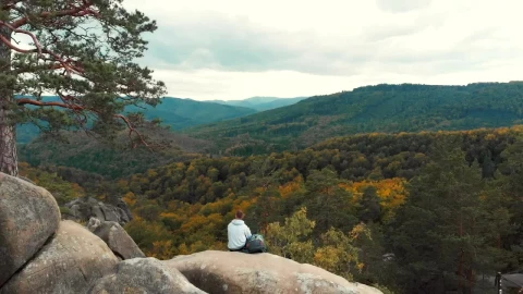 Stock Video Man Enjoying The View Of The Woods Animated Wallpaper - Free Live Wallpaper