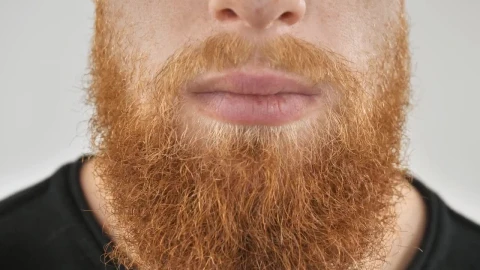 Stock Video Man Combing His Red Beard Animated Wallpaper - Free Live Wallpaper